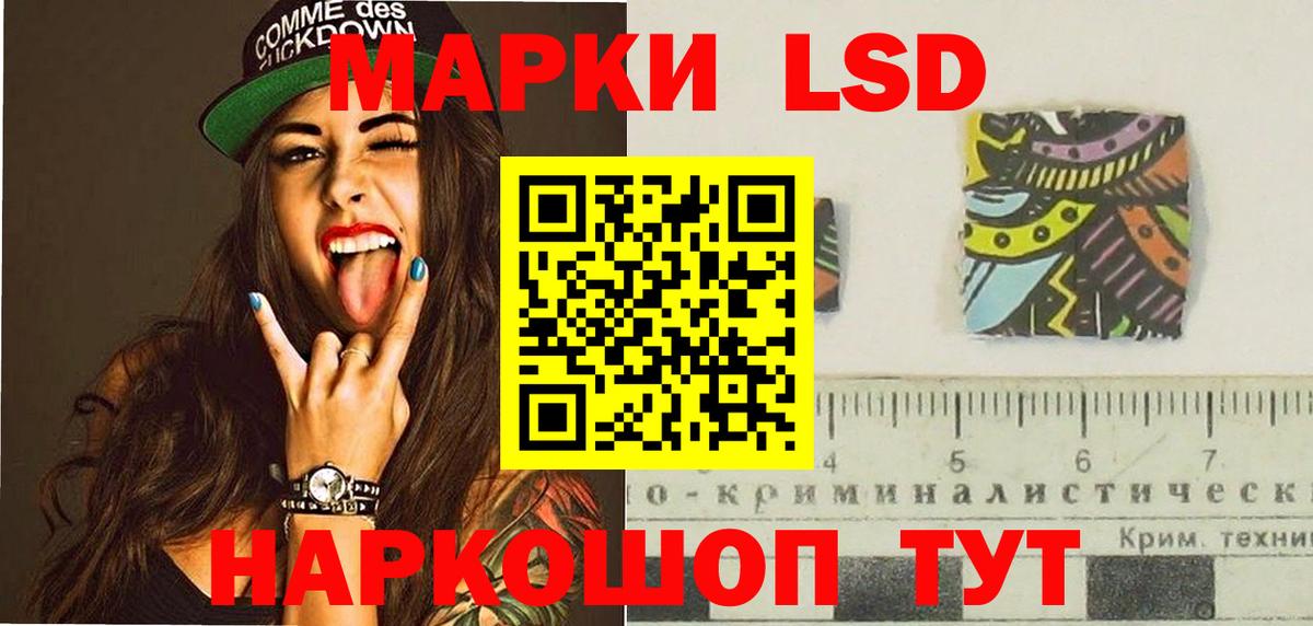 Меф Дубна