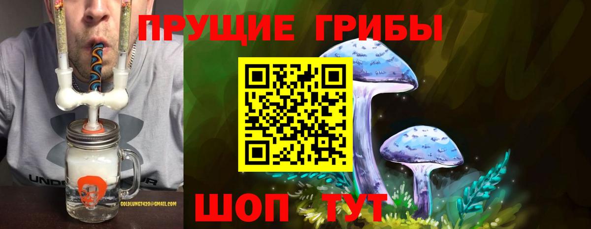 Псилоцибиновые грибы мухоморы Дубна